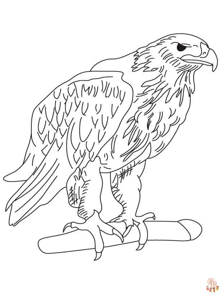 Adler Ausmalbilder 17