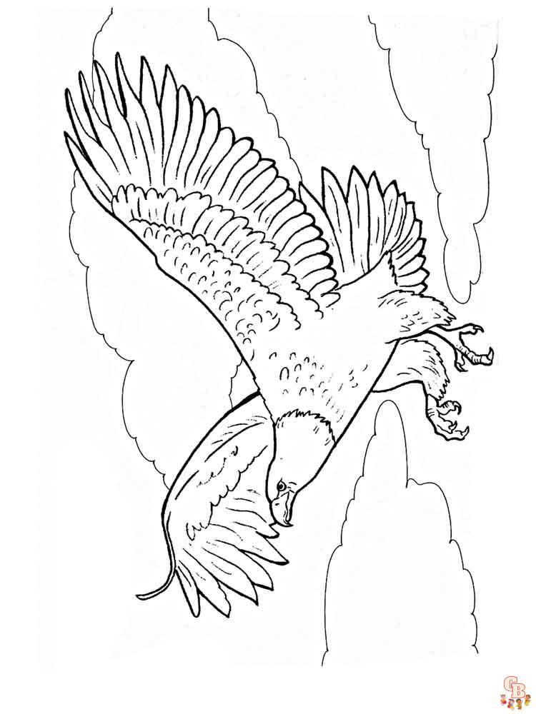 Adler Ausmalbilder 19