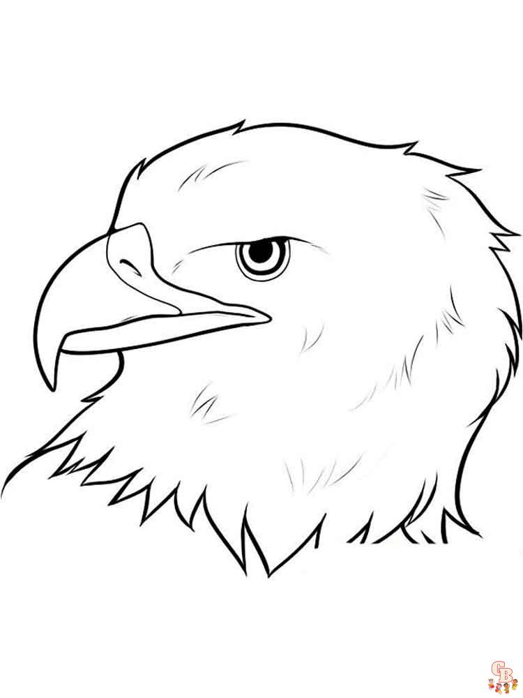 Adler Ausmalbilder 23