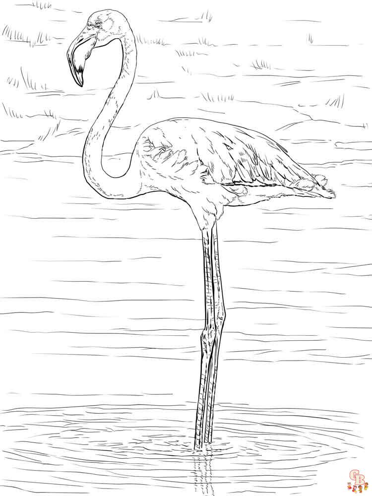 Ausmalbilder Flamingo 11