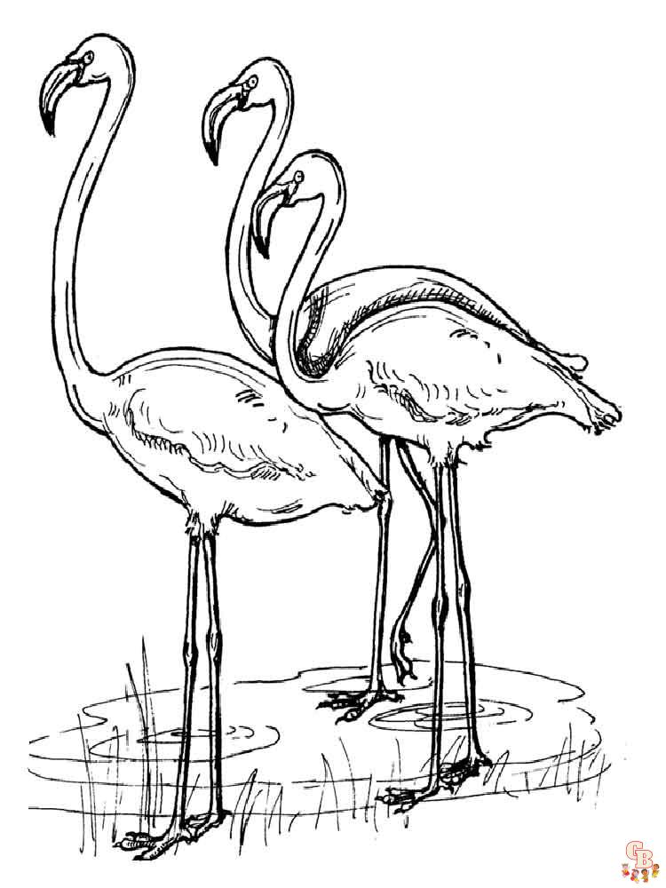 Ausmalbilder Flamingo 12