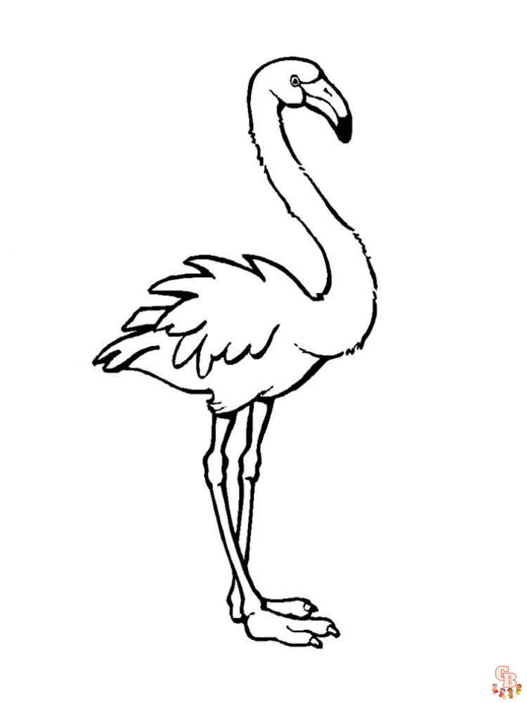 Ausmalbilder Flamingo 2