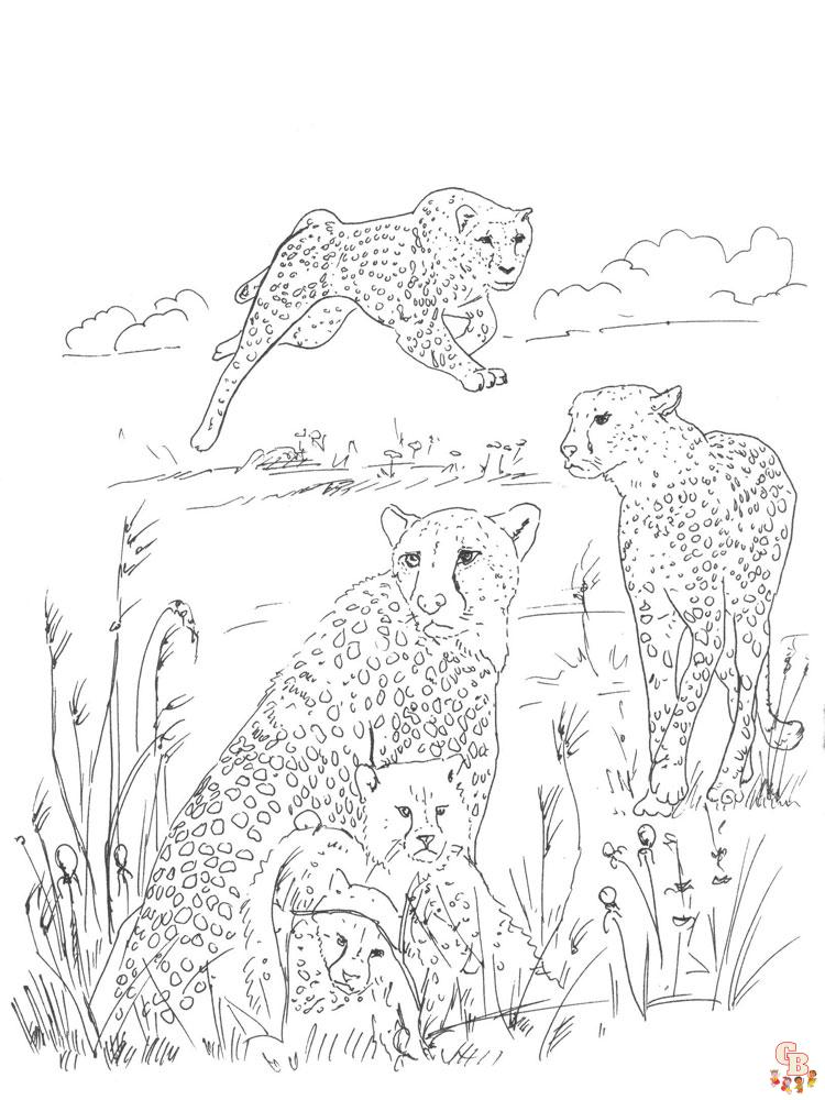 Ausmalbilder Gepard 1