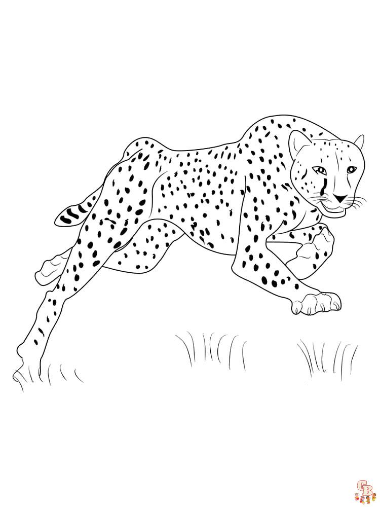 Ausmalbilder Gepard 13