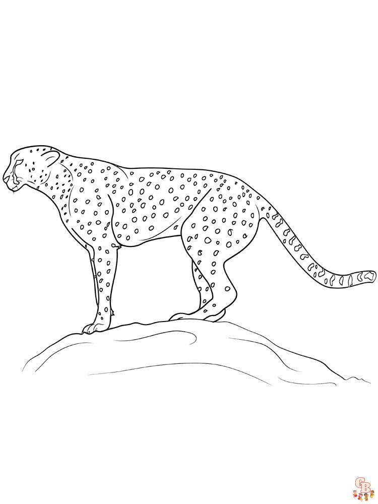 Ausmalbilder Gepard 15