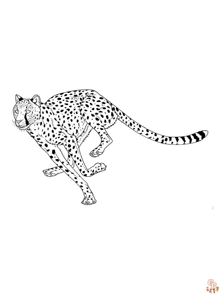 Ausmalbilder Gepard 18