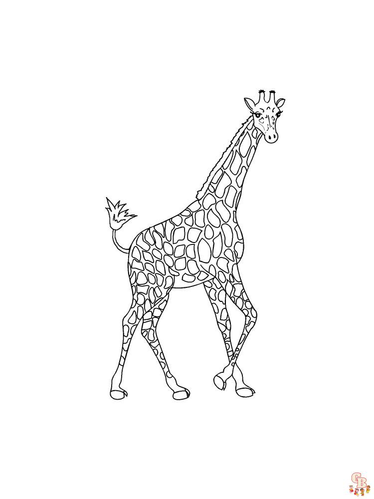 Ausmalbilder Giraffe 7