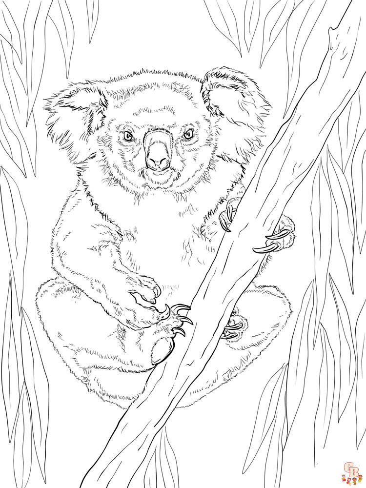 Ausmalbilder Koala 24