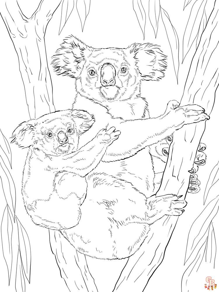 Ausmalbilder Koala 34