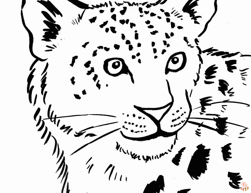 Ausmalbilder Leopard11