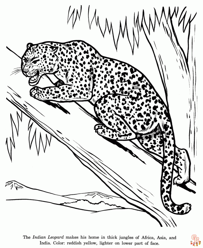 Ausmalbilder Leopard12