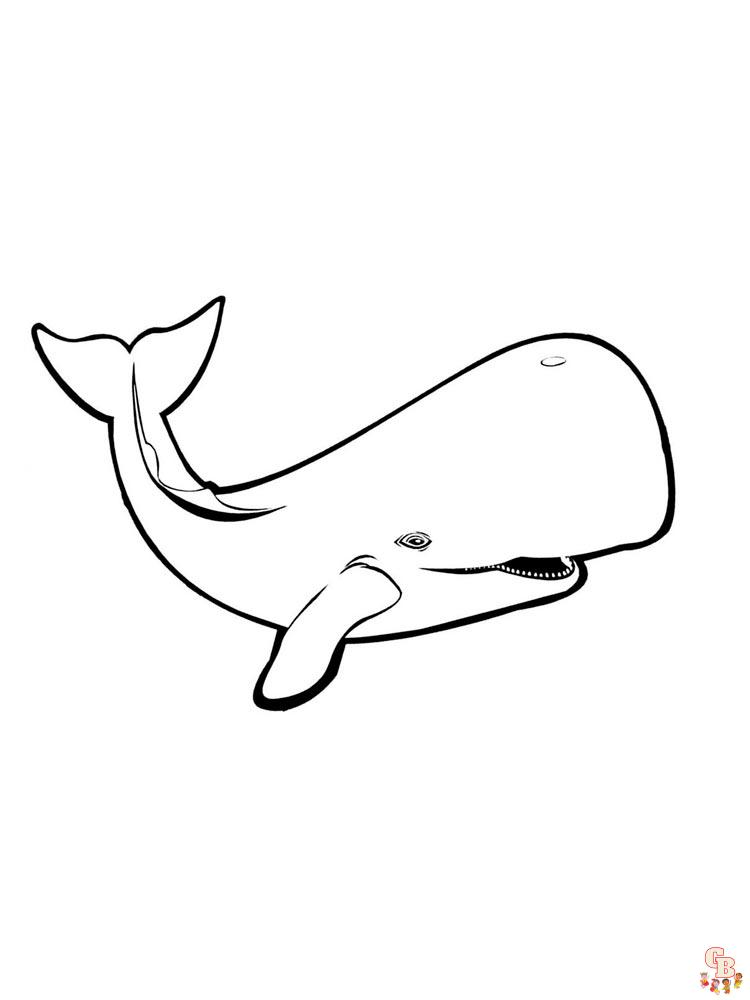 Ausmalbilder Wale 13