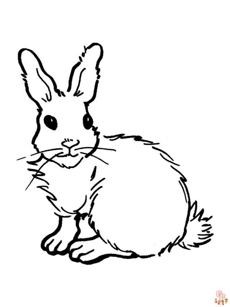 Kaninchen Ausmalbilder 11