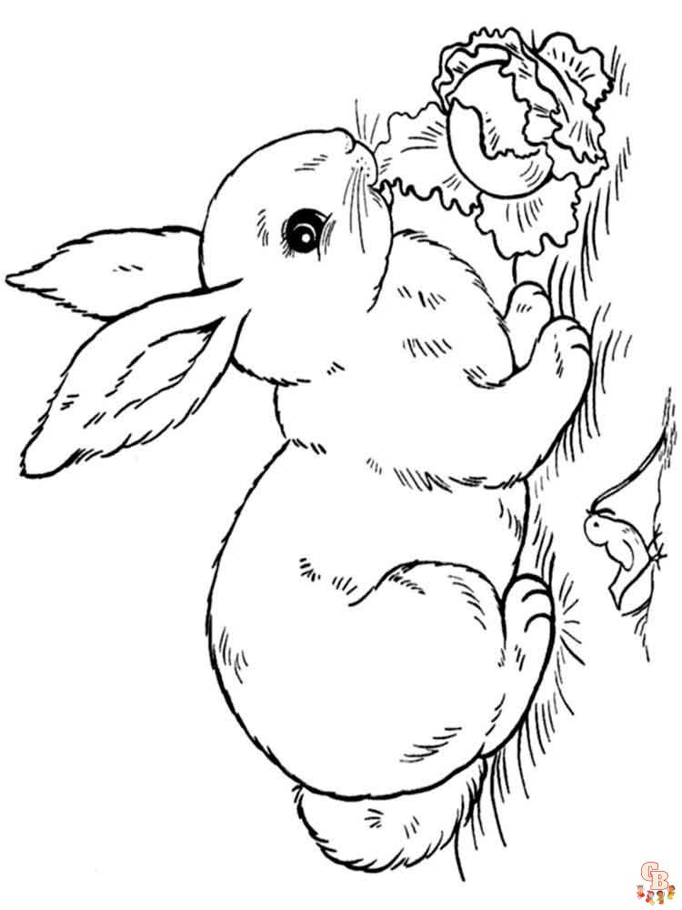 Kaninchen Ausmalbilder 12