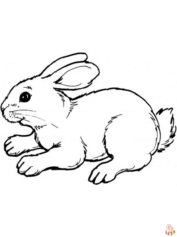 Kaninchen Ausmalbilder 16