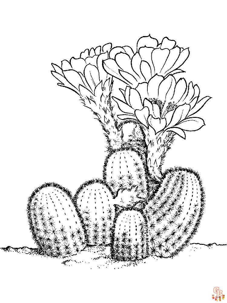 Ausmalbilder Kaktus 39