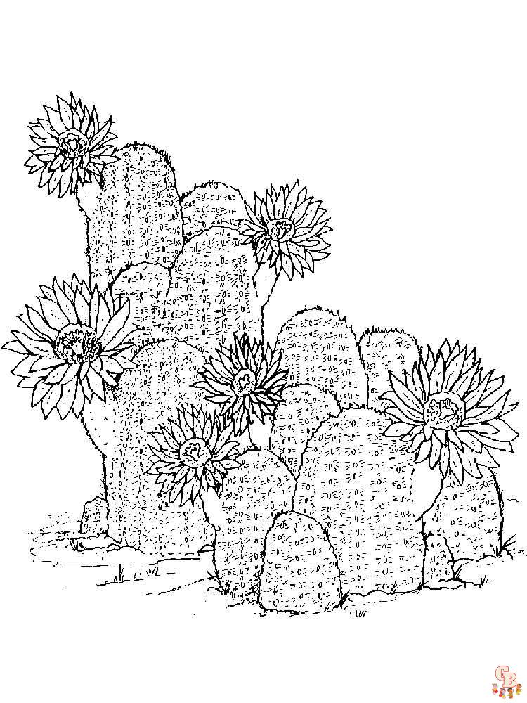 Ausmalbilder Kaktus 41