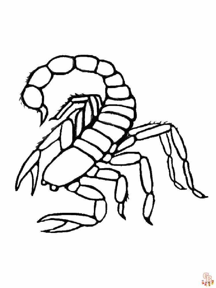Ausmalbilder Skorpion 1