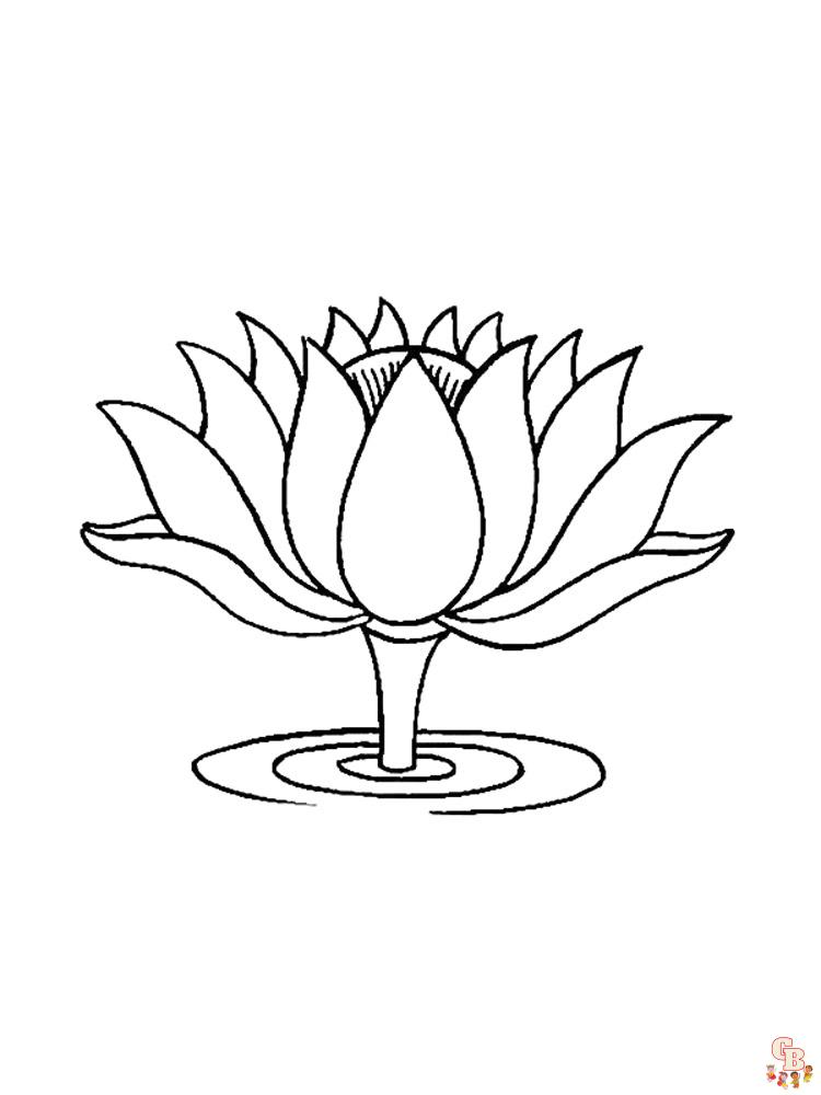 Ausmalbilder Lotus 11