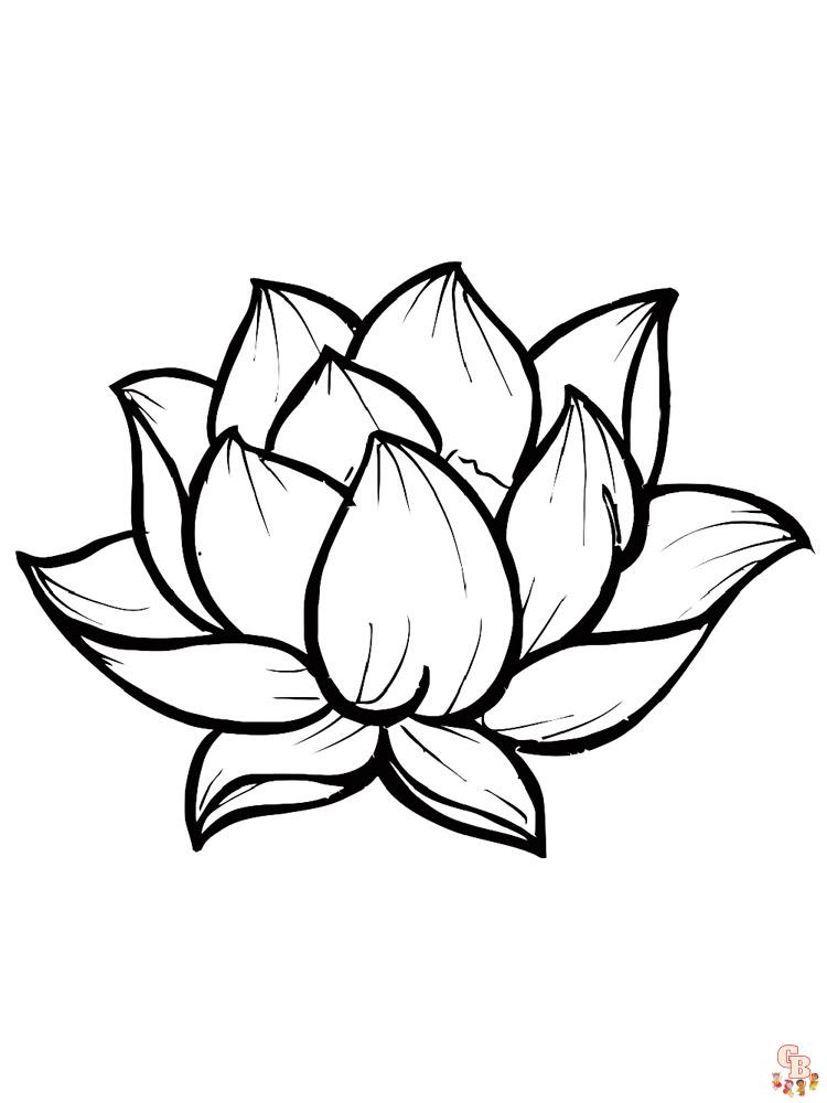Ausmalbilder Lotus 16
