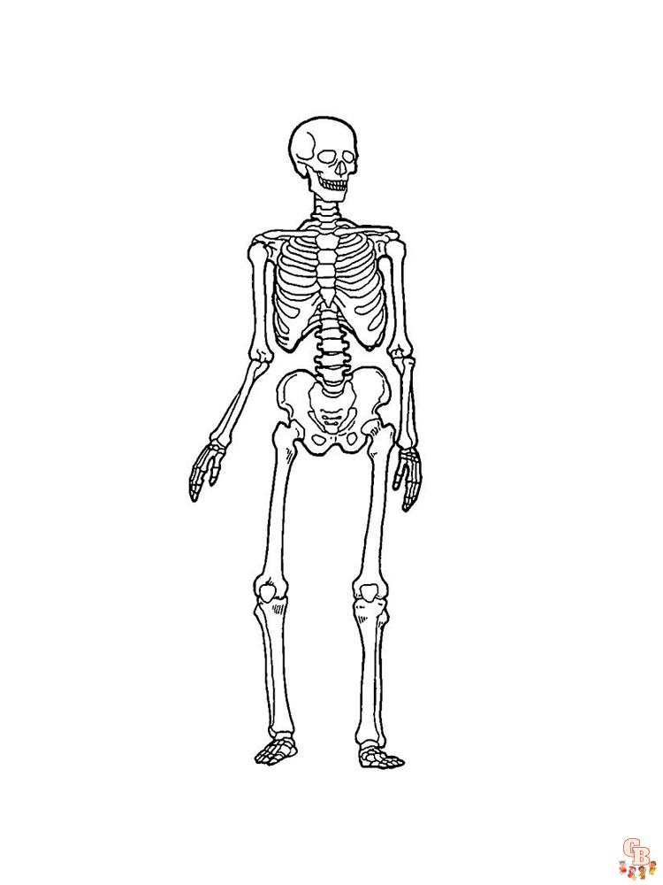 Ausmalbilder Skelett 3