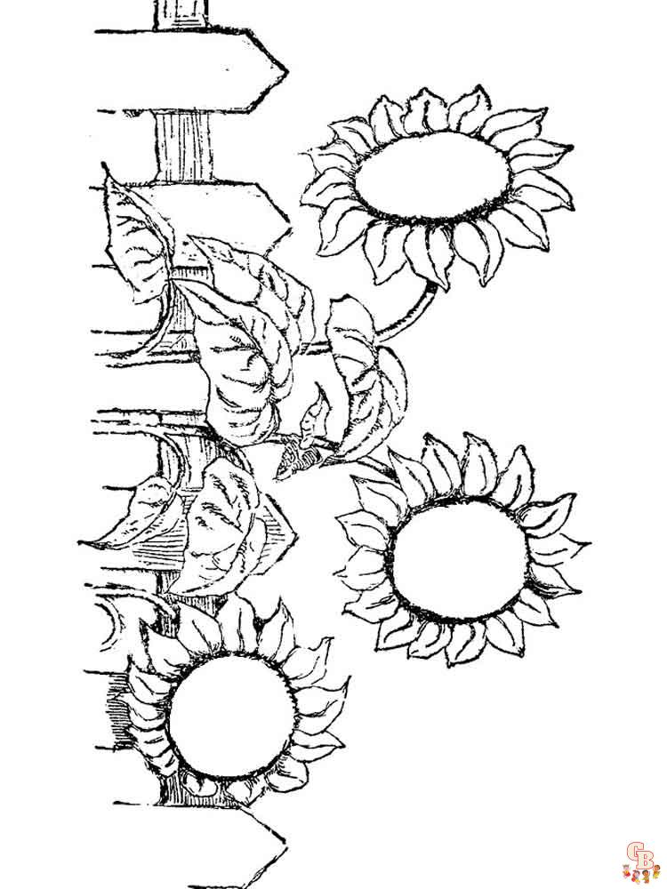 Ausmalbilder Sonnenblumen 44
