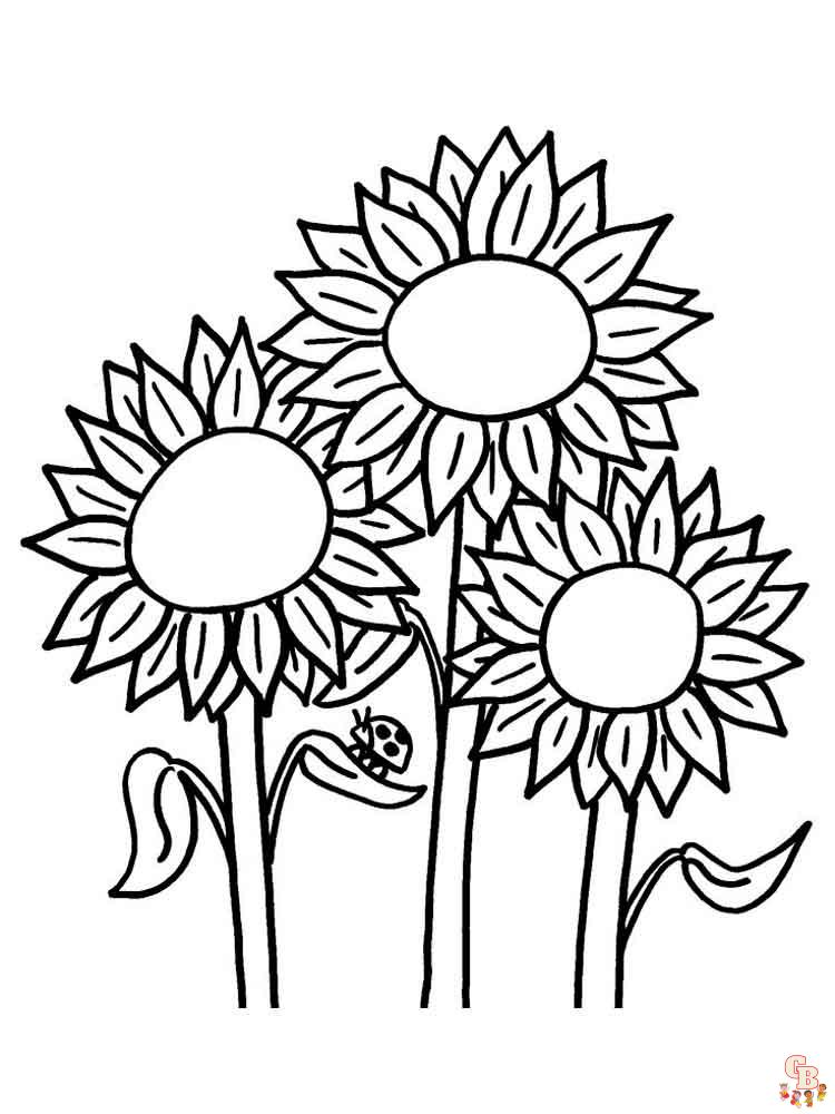Ausmalbilder Sonnenblumen 46