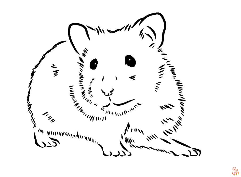 Hamster Ausmalbilder fuer kinder