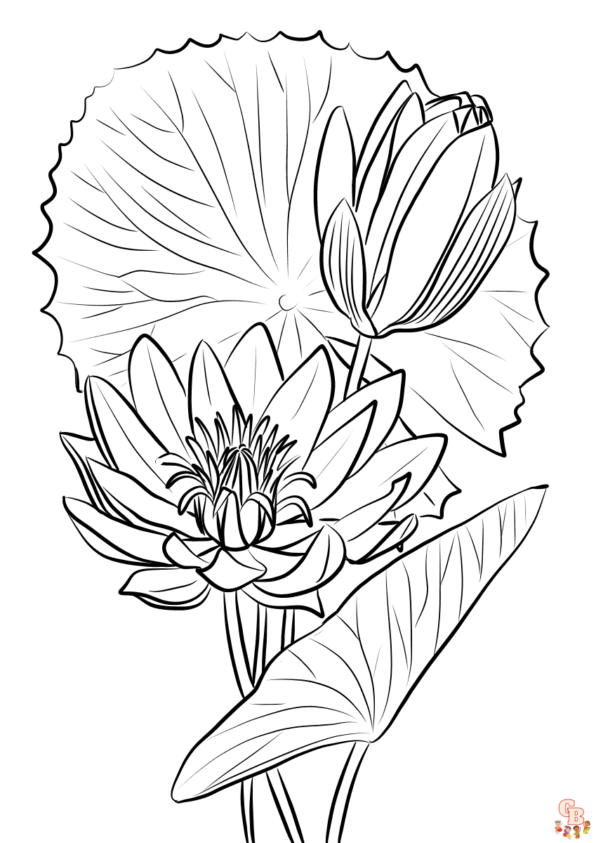 Lotusblueten ausmalbilder kostenlos