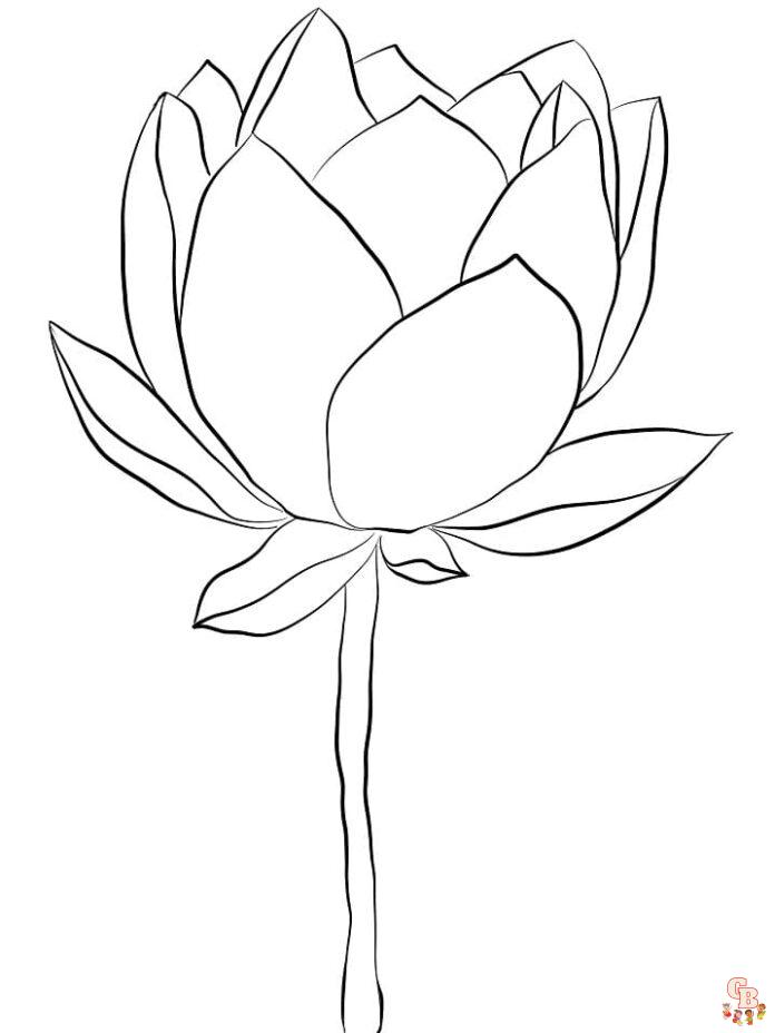 Malvorlagen Lotusblueten 2