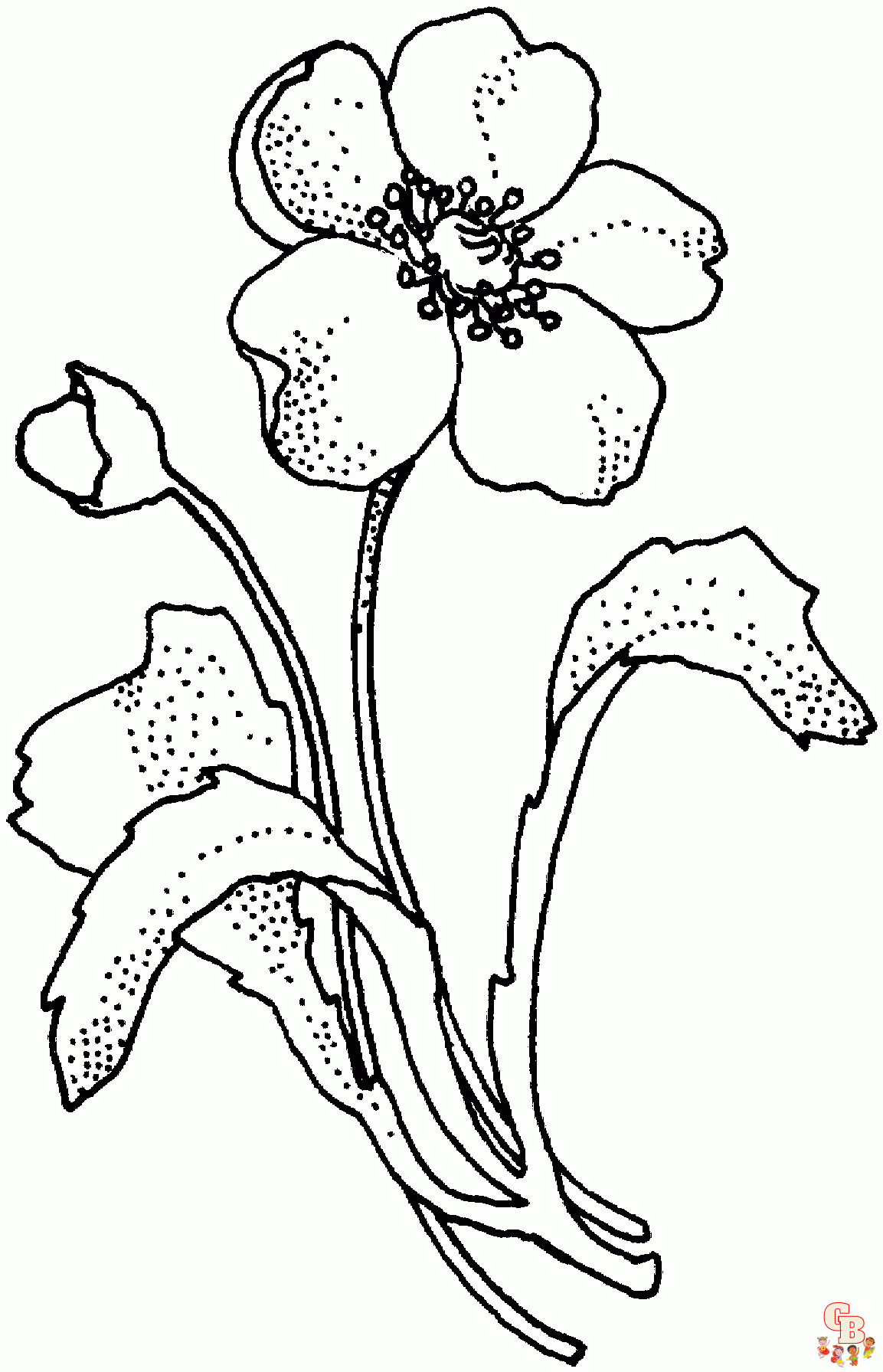 Mohnblumen ausmalbilder kostenlos