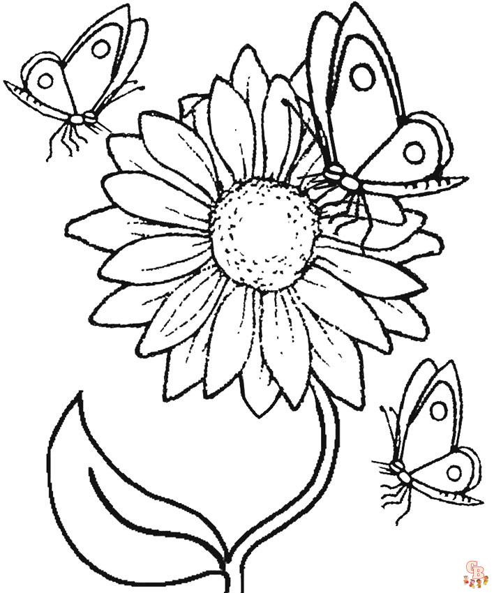 Sonnenblume und Schmetterling zum ausdrucken
