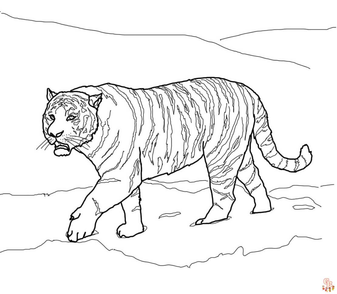 Amur Tiger ausmalbilder zum ausdrucken