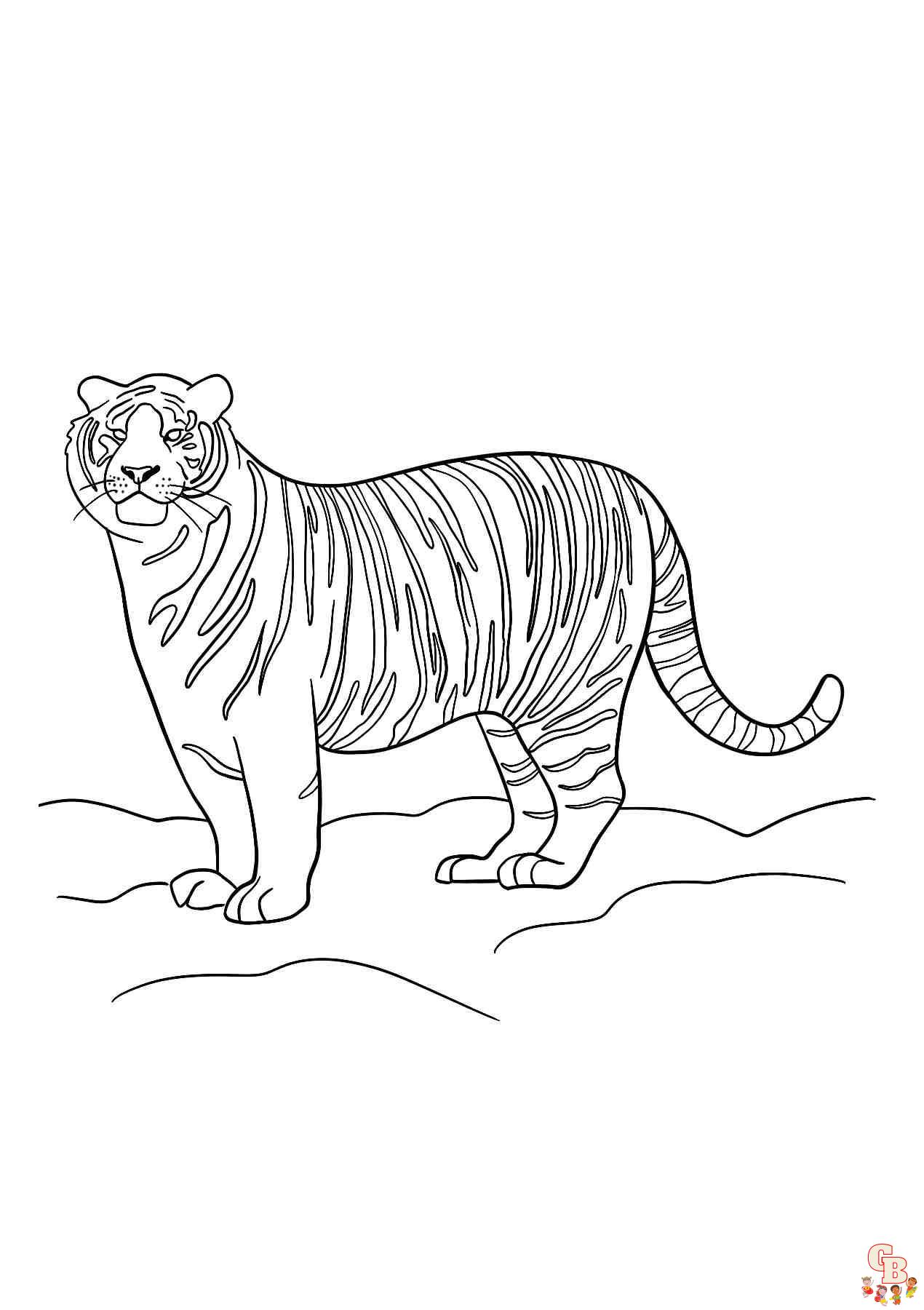 Amur Tiger zum ausdrucken
