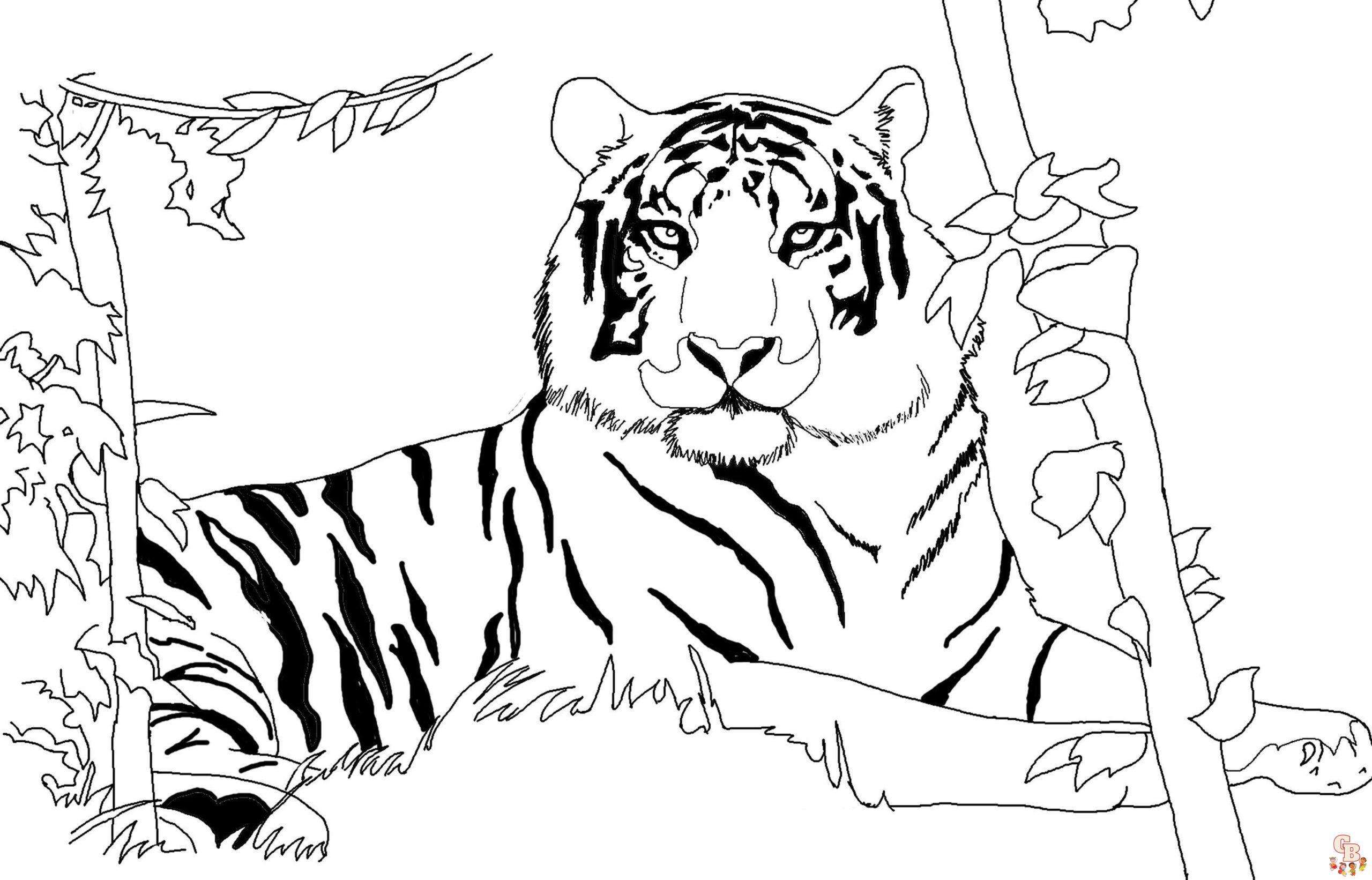 Ausmalbilder Amur Tiger