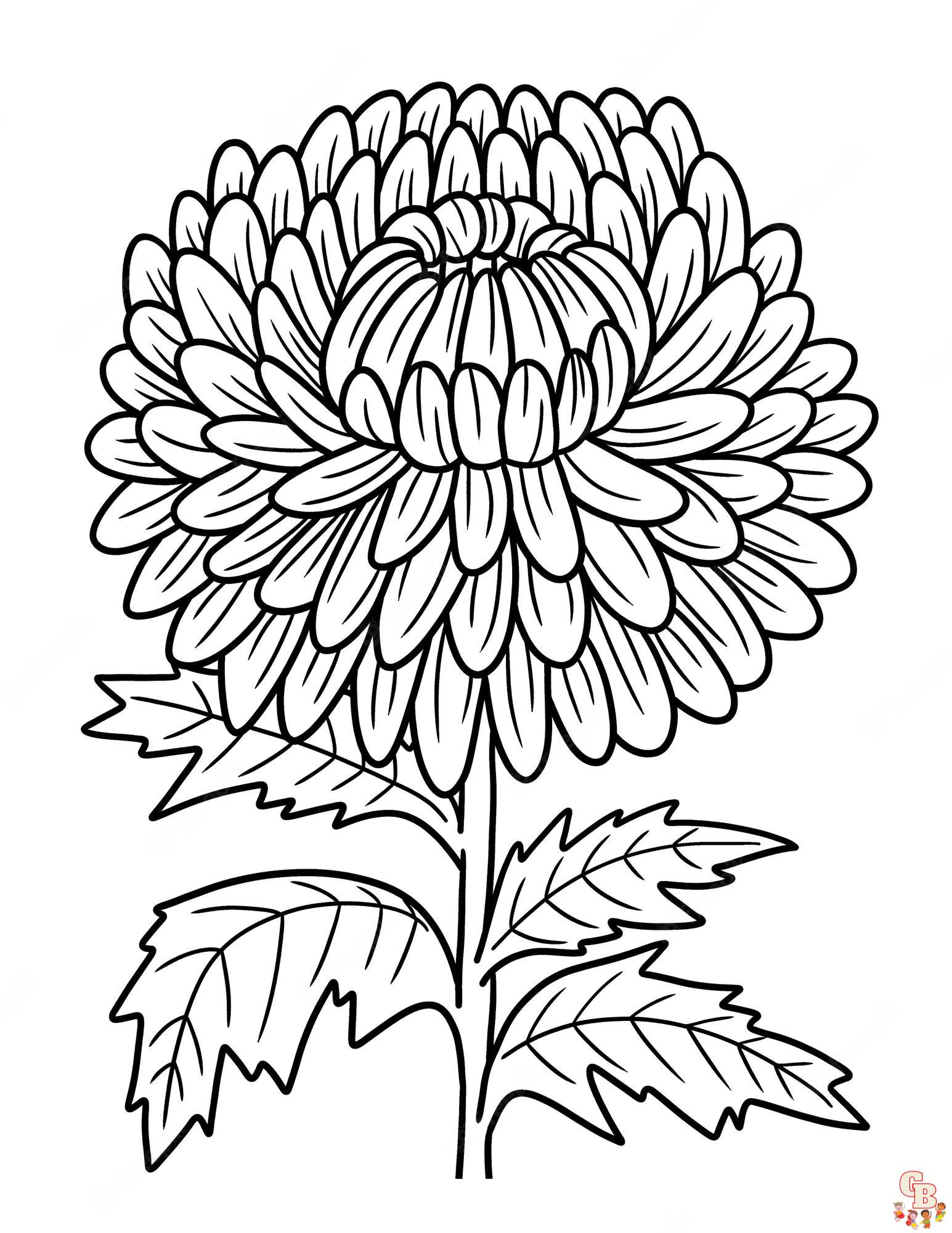Ausmalbilder Chrysanthemen 1