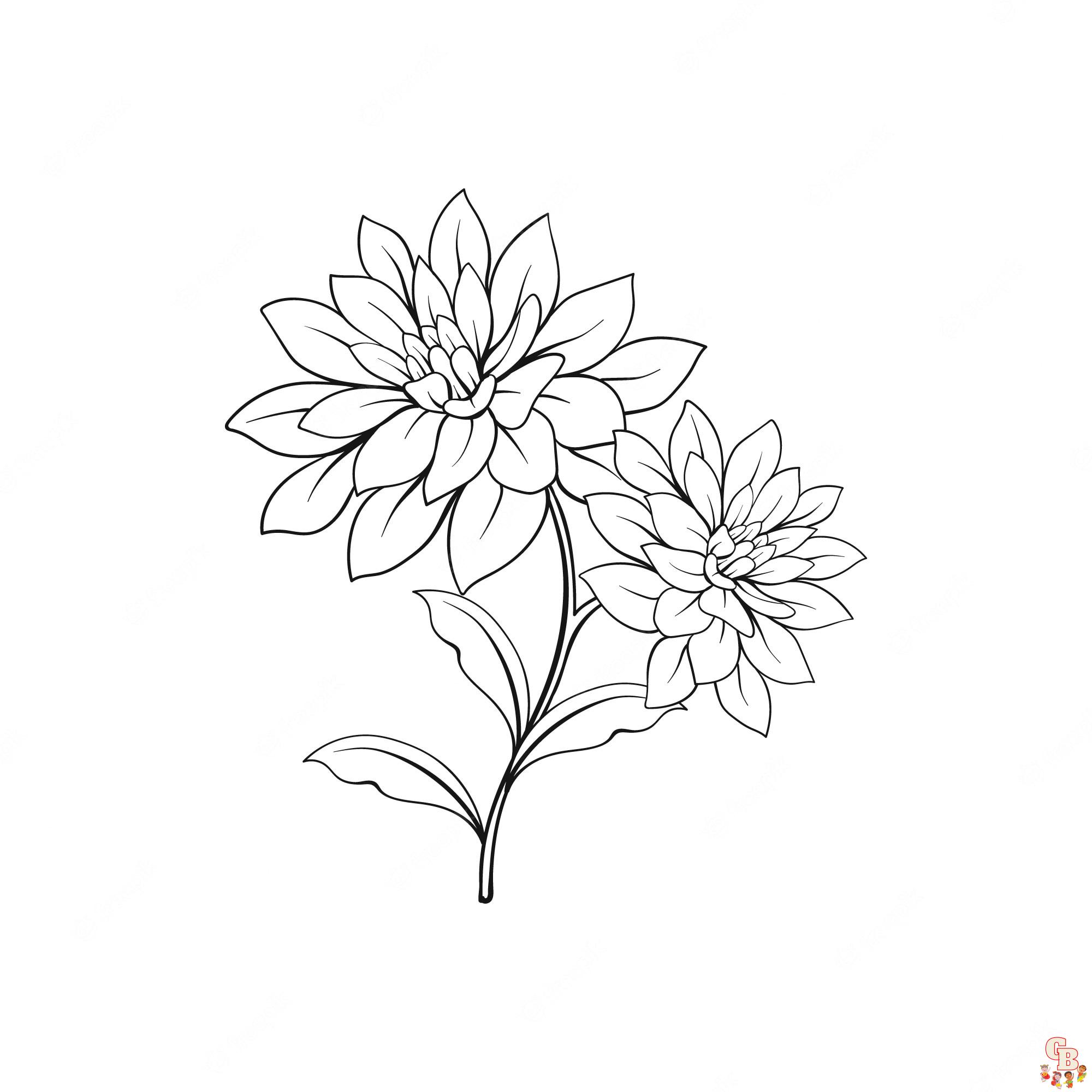 Ausmalbilder Chrysanthemen 2