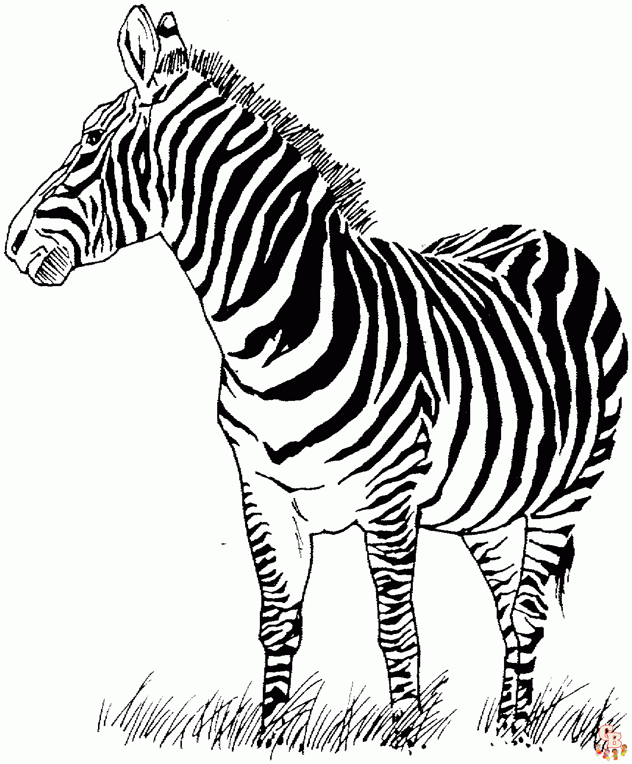 Ausmalbilder Zebra