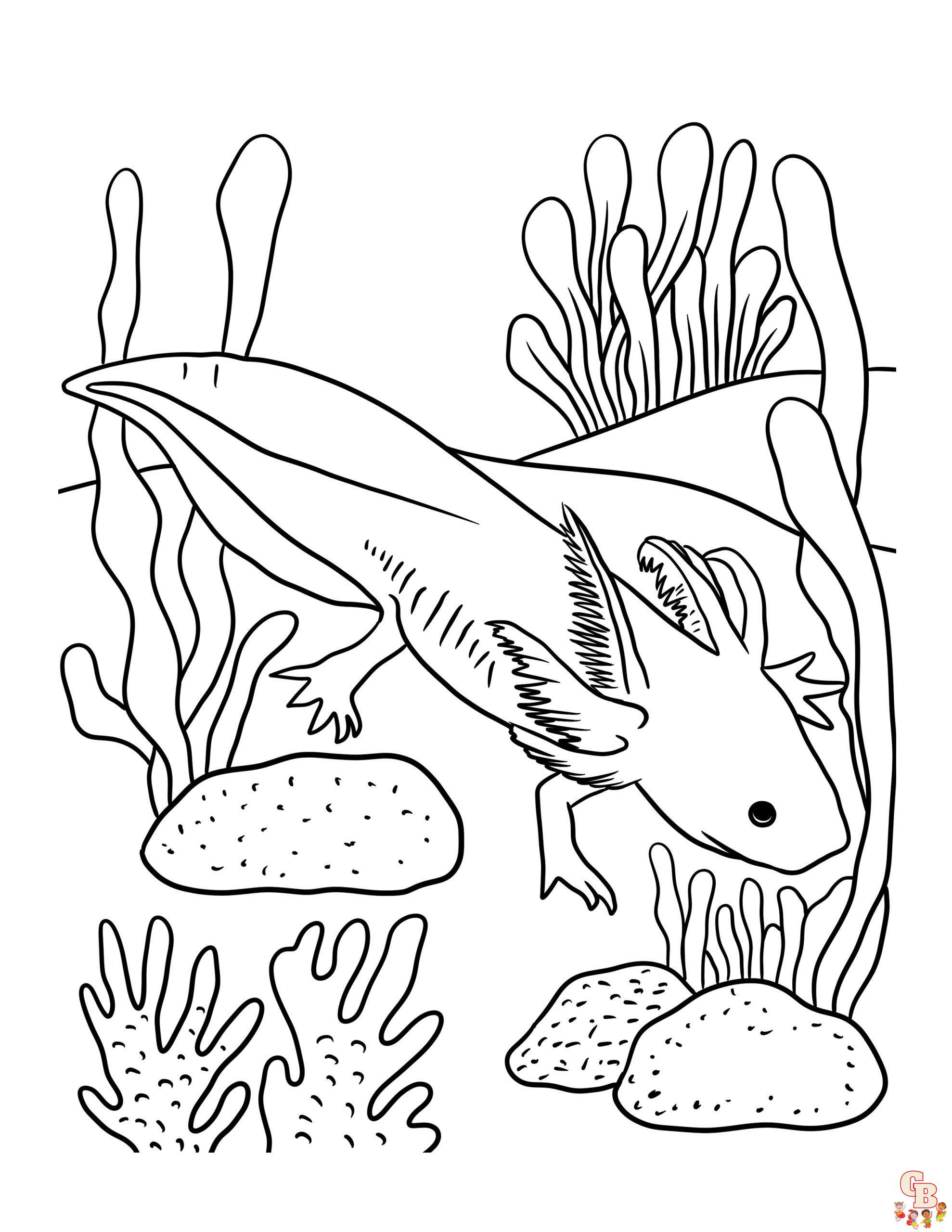 Axolotl zum ausdrucken