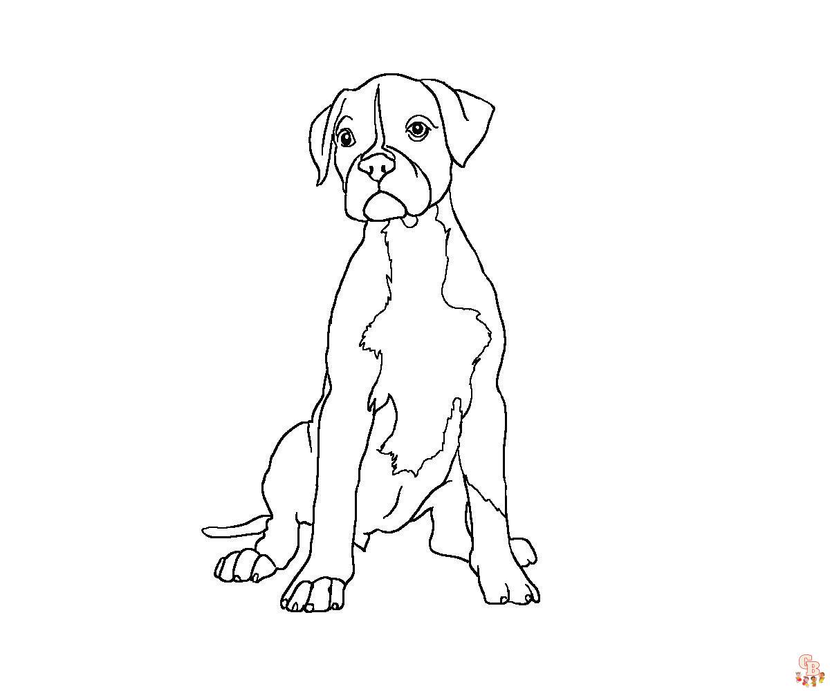 Boxer Hund ausmalbilder zum ausdrucken