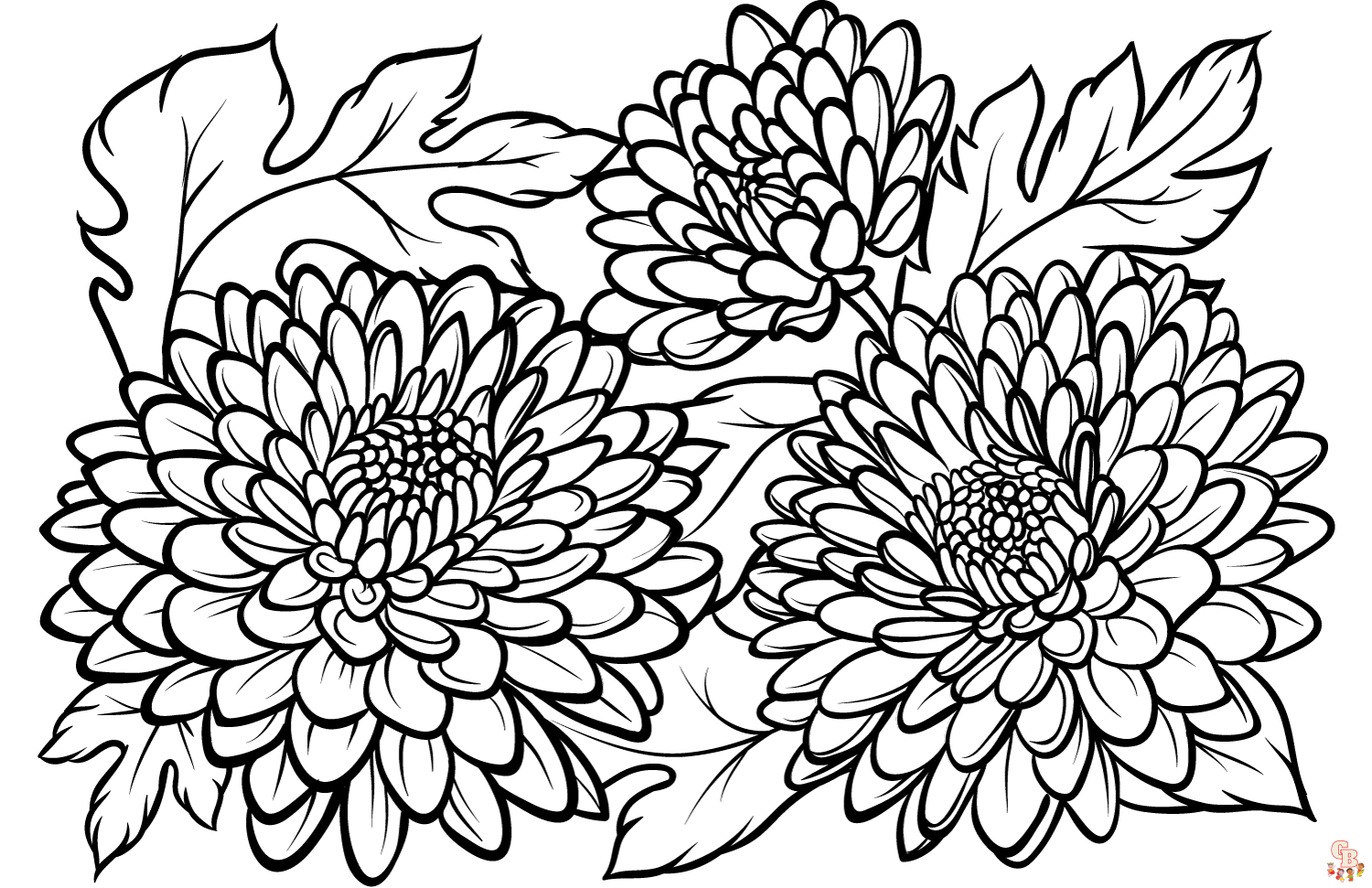 Chrysanthemen ausmalbilder zum ausdrucken