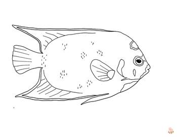 Koenigin Kaiserfisch ausmalbilder zum ausdrucken