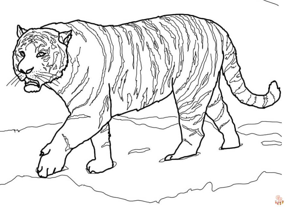 Malvorlagen Amur Tiger