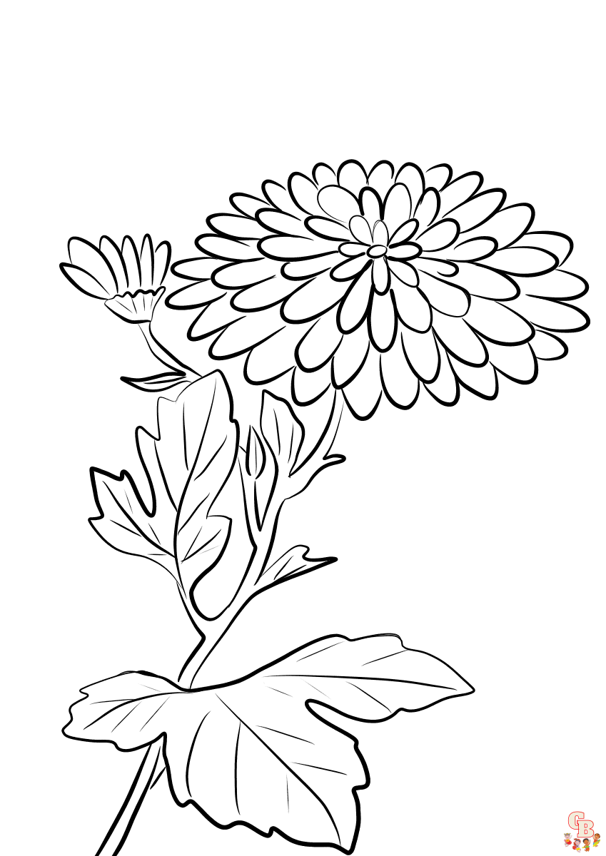 Malvorlagen Chrysanthemen 1