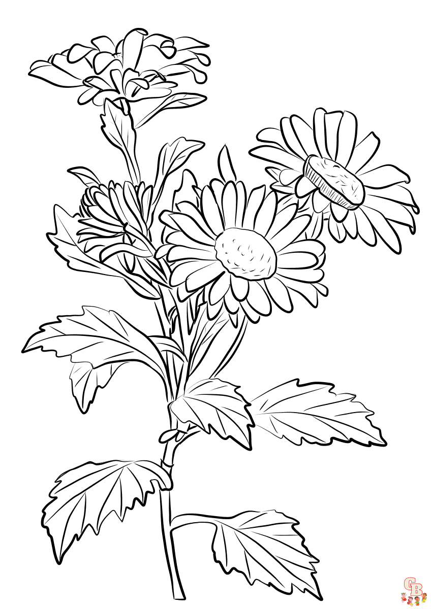 Malvorlagen Chrysanthemen 2