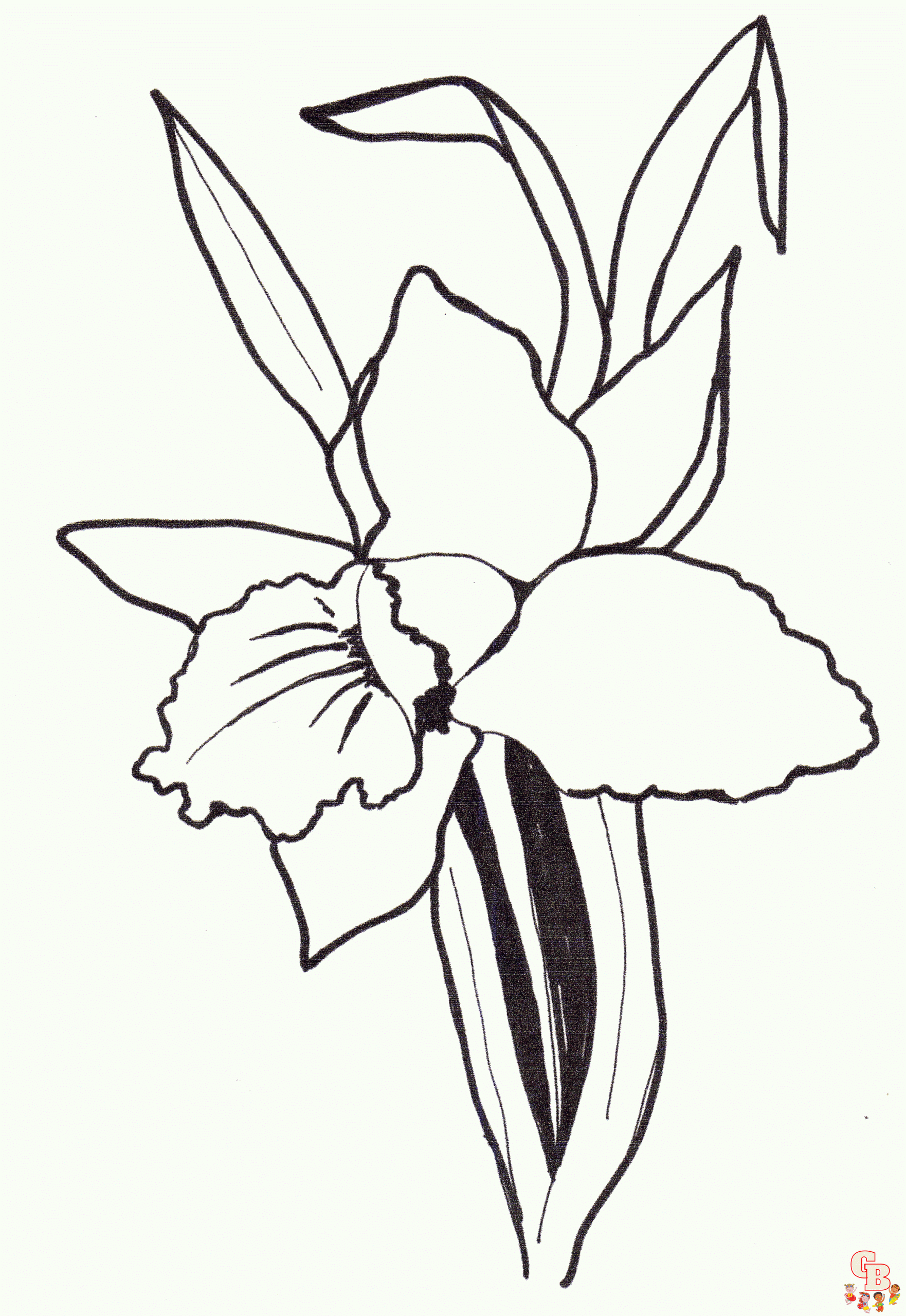 Orchidee ausmalbilder kostenlos