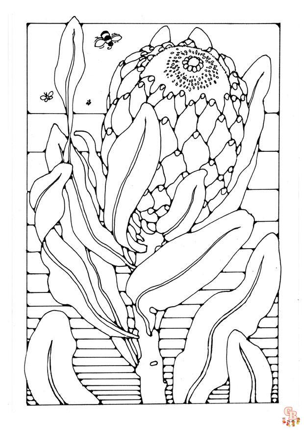 Protea ausmalbilder kostenlos