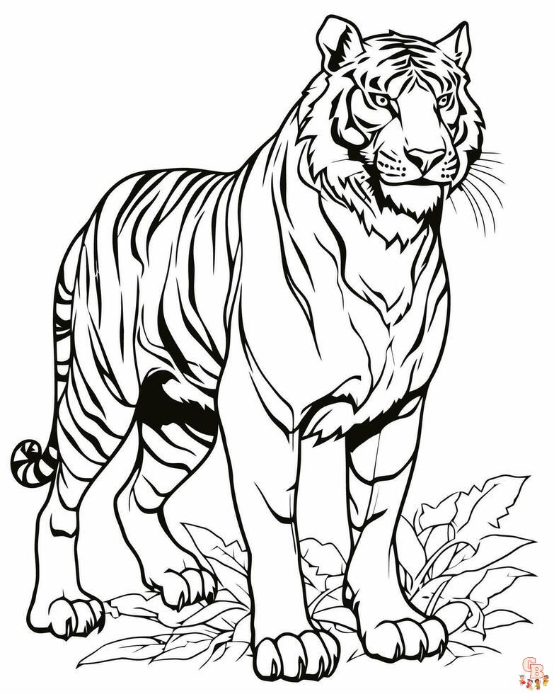 Weisser Bengalischer Tiger Ausmalbilder fuer kinder