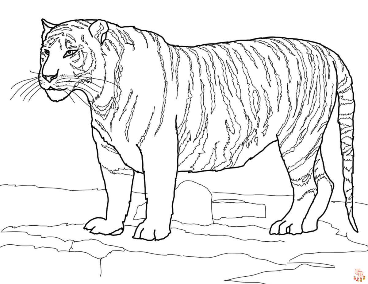Weisser Bengalischer Tiger zum ausdrucken