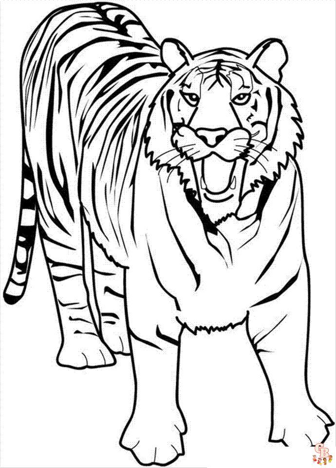 Weisser Bengalischer Tiger zum ausmalen